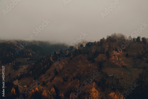 Forested hill view with yellow and red trees, grass and foggy sky in the background