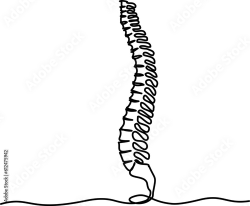 Chiropractor spine. Continuous one line drawing on white background