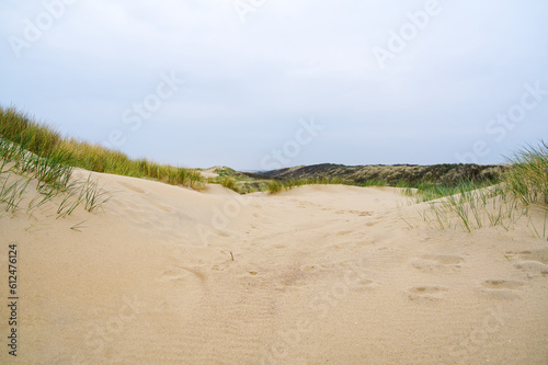 Sand dunes with marram grass and empty beach on Dutch coastline. Netherlands in overcast day. The dunes or dyke at Dutch north sea coast