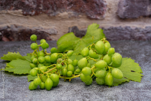 Grape Cork   immature bunch of grapes   grapes .