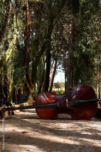 Big cello on the ground outdoors © Jhon Ticona/Wirestock Creators