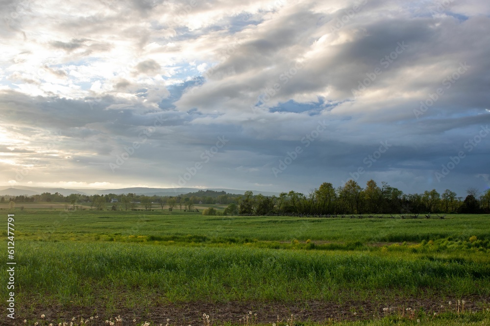 Scenic view of an open field filled with grass and vegetation on a cloudy day