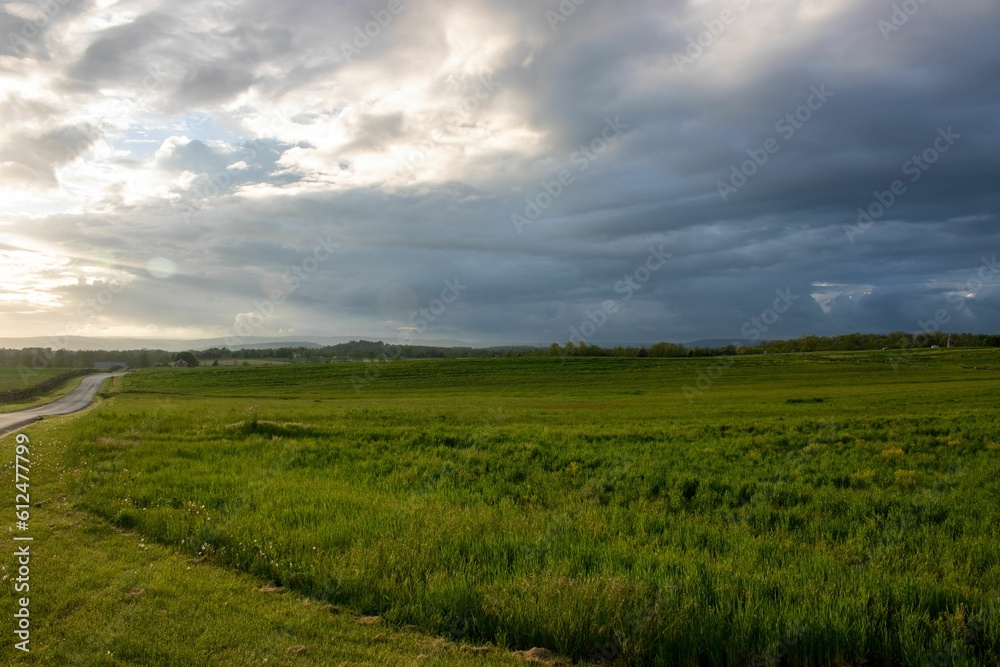 Scenic view of an open field filled with grass and vegetation on a cloudy day