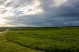 Scenic view of an open field filled with grass and vegetation on a cloudy day