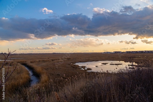 Scenic shot of a field with a little lake and stream and the golden sunset in the sky