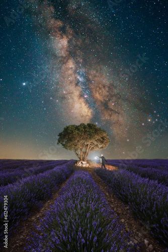 Milky way over lavender fields blooming in Valensole. A man with a lantern is watching the Milky Way over the lavender field at night, cold purple tones with a lonely tree near, Provence, France