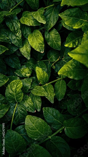 Vertical background with green leaves