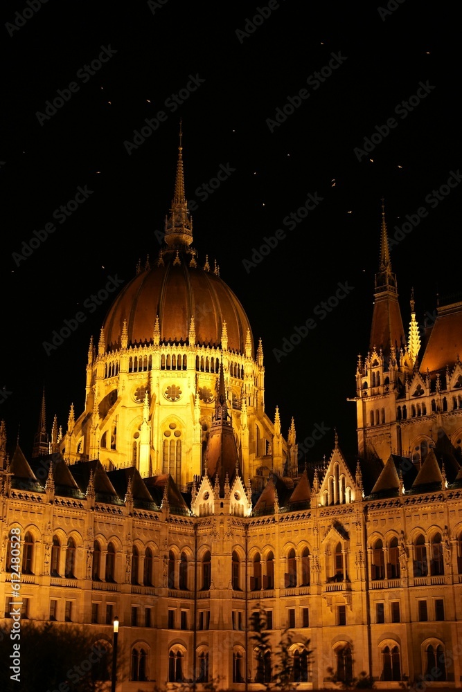 Vertical shot of the illuminated Parliament building at night in Budapest, Hungary