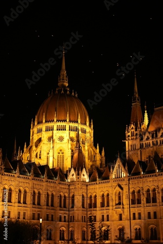 Vertical shot of the illuminated Parliament building at night in Budapest  Hungary