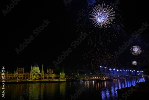 Beautiful shot of exploding colorful fireworks in a night sky over Budapest on Saint Istvan Day