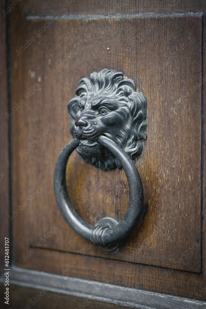 Vertical closeup of an old metallic door knob in shape of a lion head