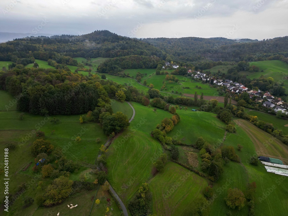 Aerial shot of the Heppenheim city in Germany surrounded by the hills and green forests