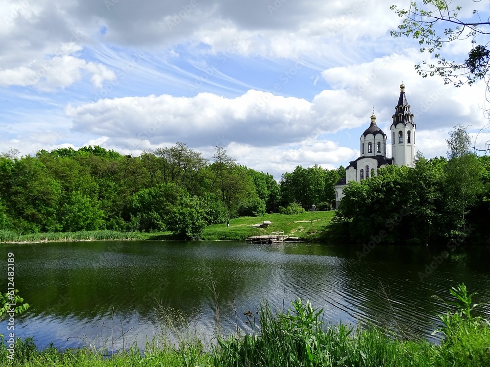 Beautiful shot of a cathedral by a pond surrounded by green vegetation