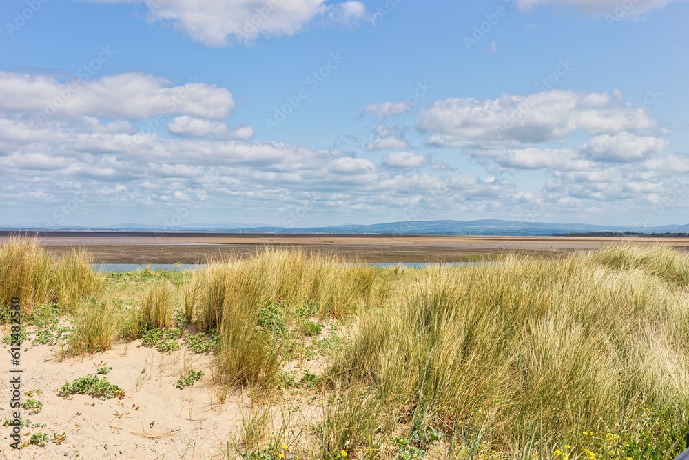 sand dunes and grass and sea
