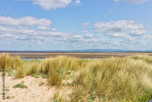 sand dunes and grass and sea © Robert