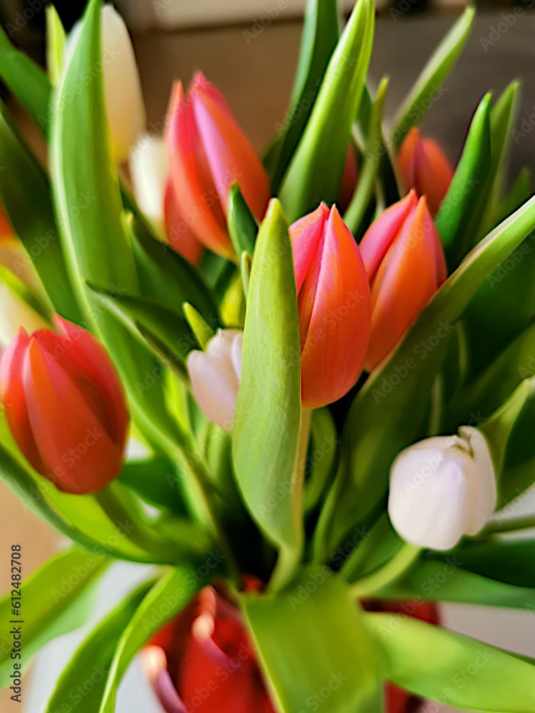 Fototapeta premium Vertical closeup shot of a colorful tulip bouquet in a vase