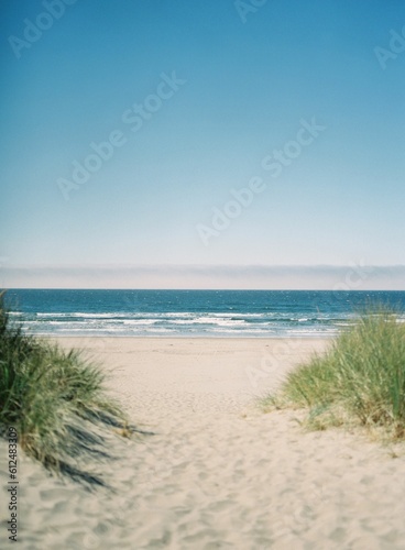 Tropical sandy beach with wild grass near the sea, vertical shot
