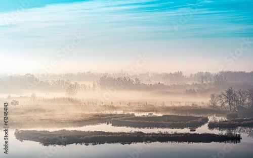 misty lake near trees and shrubs at sunrise on a misty day