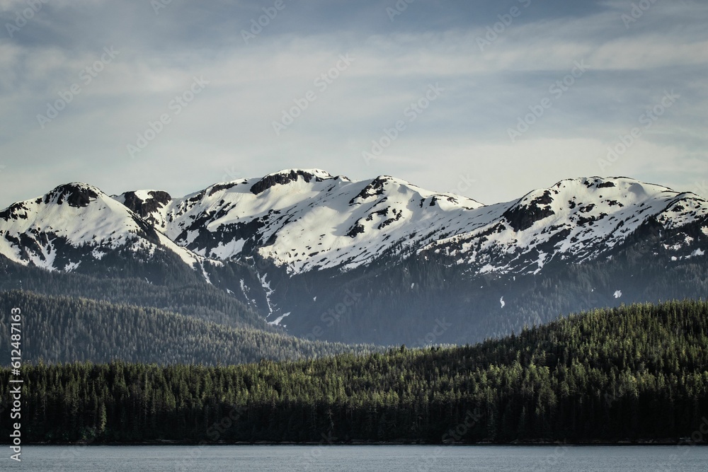 Body of water with a forested shore and snowcapped mountains seen in the background