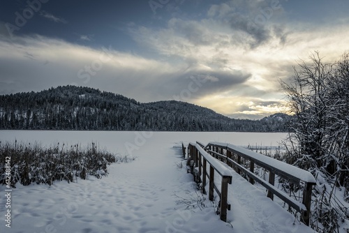 Fototapeta Naklejka Na Ścianę i Meble -  Tranquil winter scenery in the snow-covered field at the foot of the mountains