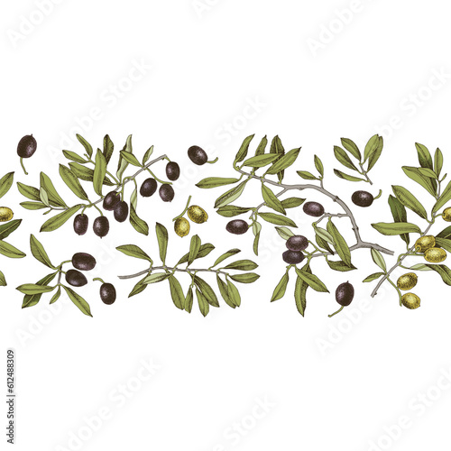 Olives seamless border. Floral illustration