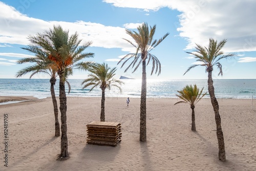 Scenery with palm trees on Poniente beach in Benidorm, Spain photo