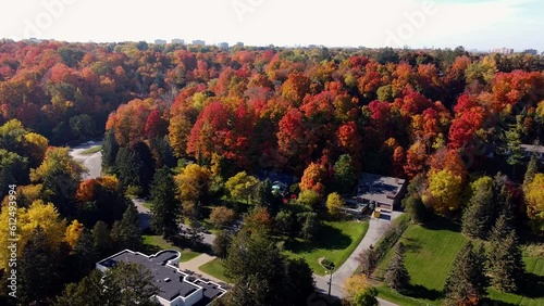Aerial drone footage of the houses and autumn trees in Scarborough Bluffs, Canada photo