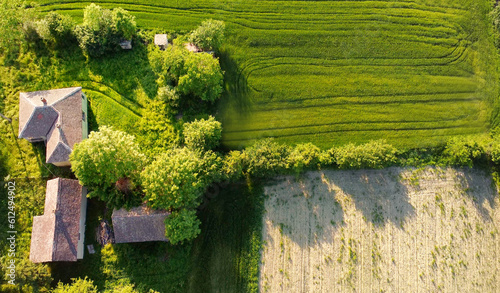 A bird eye view from a drone of farmland with a small house among fresh green agricultural fields.
