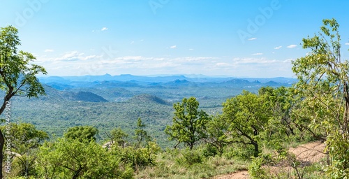 Beautiful landscape of trees with the view of hills under a blue sky.