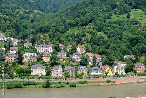 Fototapeta Naklejka Na Ścianę i Meble -  Beautiful houses on the edge of a river in Heidelberg city Germany with the forest in the background