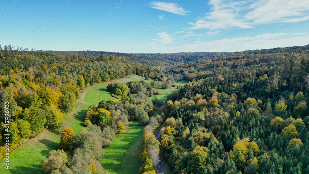 Aerial drone shot of the beautiful green trees and fields