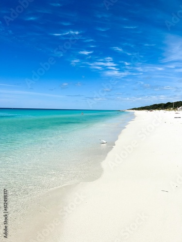 Fototapeta Naklejka Na Ścianę i Meble -  Beautiful sandy beach on a sunny morning in Western Australia