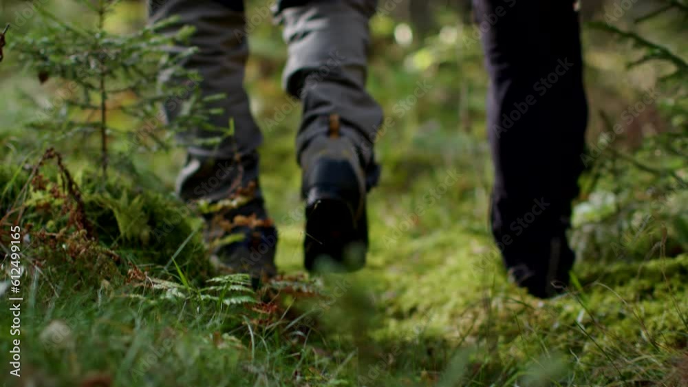 Closeup view of a couple walking in the forest