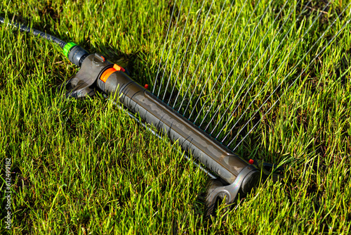 Grass swing sprinkler watering the lawn in the backyard of a house.