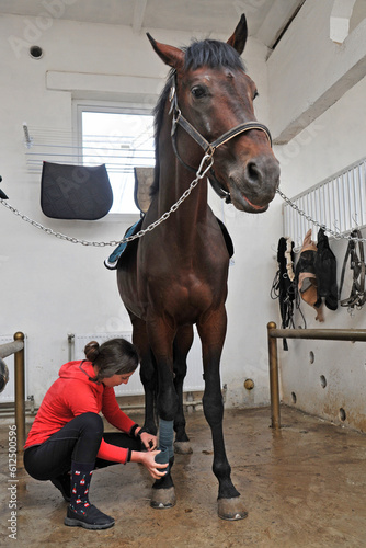 Preparing a thoroughbred horse for riding