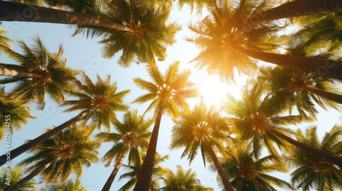 palm tree and sun by AI
