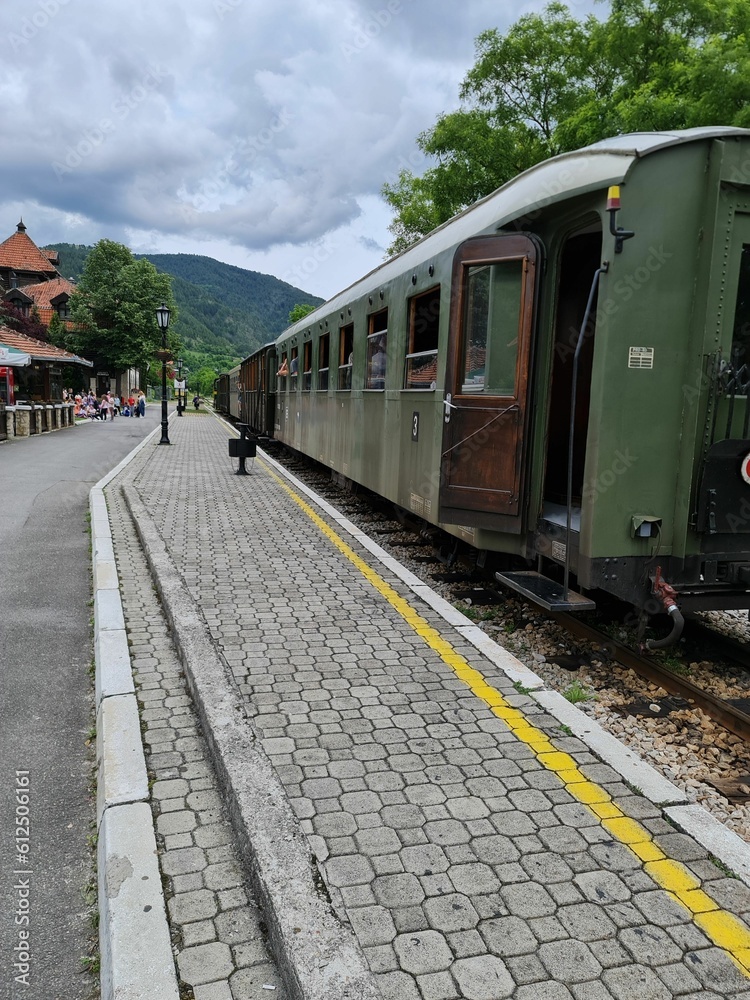 Obraz premium Long old gauge train on stone floor with railway station with trees, vertical shot