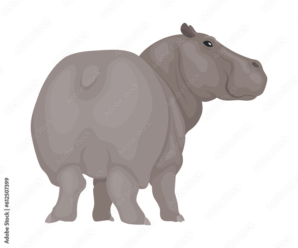 Naklejka premium Hippo. Hippopotamus cartoon character. African animal, zoo and wildlife concept. Large gray wild creature standing on white background