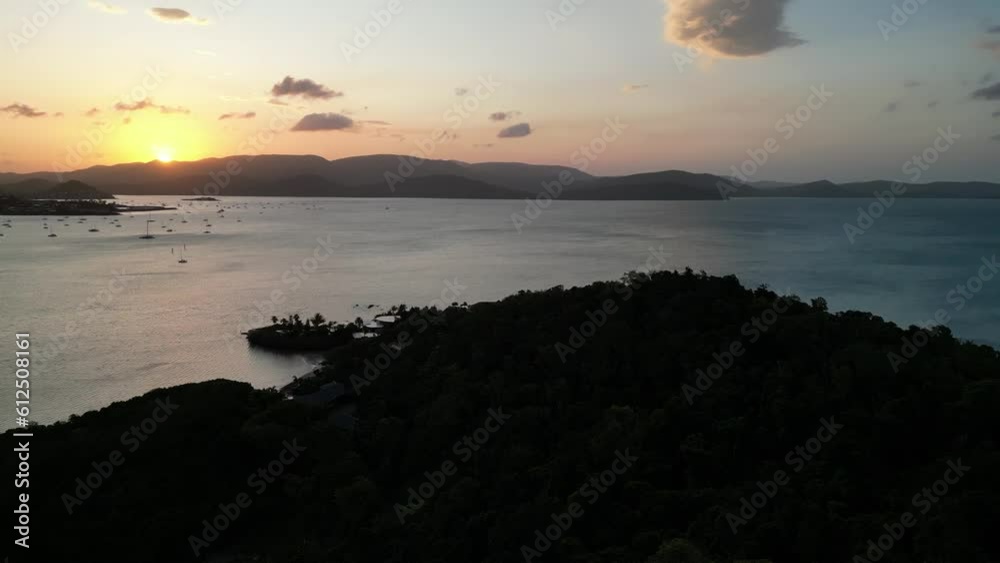 Aerial view of dense forest near the ocean with mountains in the background at scenic sunset Aerial view of dense forest near the ocean with mountains in the background at scenic sunset
