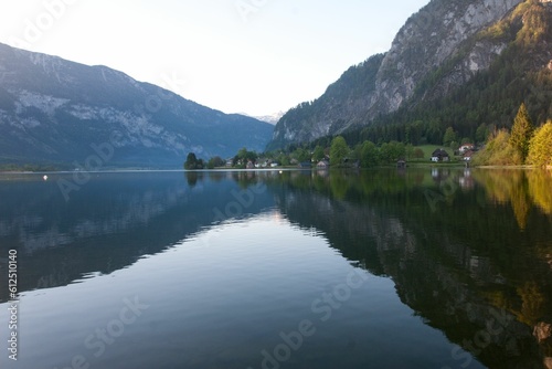 Aerial view of Hallstatt lake surrounded by dense trees