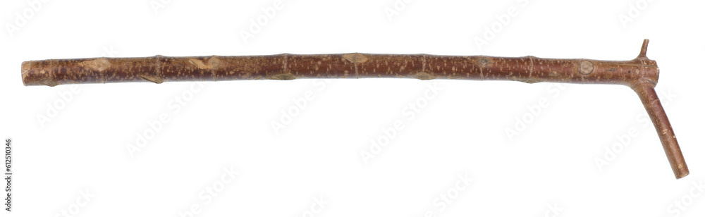 ancient wooden crutch with handle isolated on white background ancient wooden crutch with handle isolated on white background