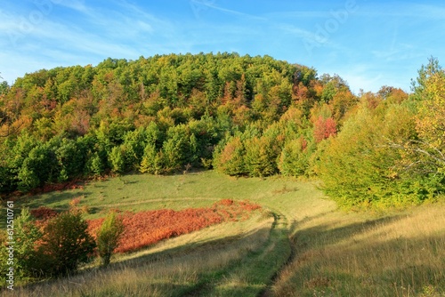 Colorful autumn trees on a sunny day in Sarajevo