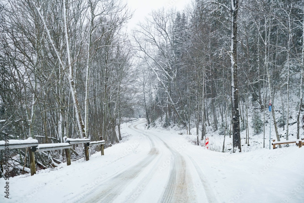Landscape view in winter with snowy ground and grass seen through trees background Landscape view in winter with snowy ground and grass seen through trees background
