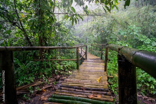 Beautiful shot of a bamboo bridge in a rainy jungle in the Philippines photo