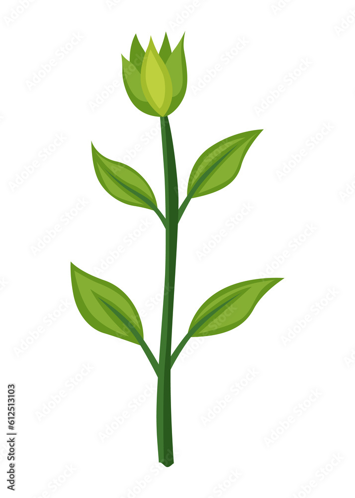 Sunflower growth stage, nurseling. Agriculture plant development. Harvest animation progression phase