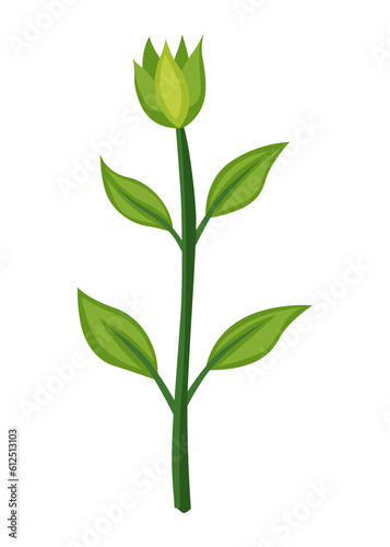 Sunflower growth stage  nurseling. Agriculture plant development. Harvest animation progression phase