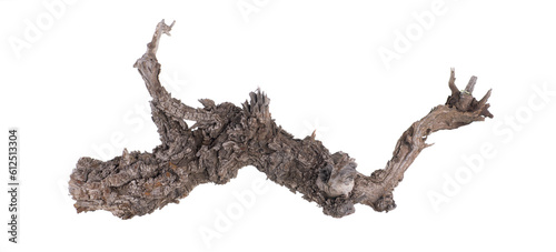dried wooden root snag isolated on white background