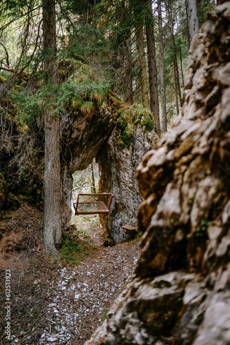 Vertical of a wooden sway hanging in a dense forest with rocks