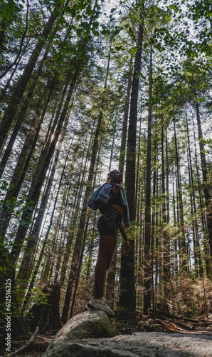 Vertical shot of a young female hiking in the forest, low angle