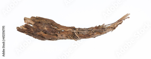 dried wooden root snag isolated on white background